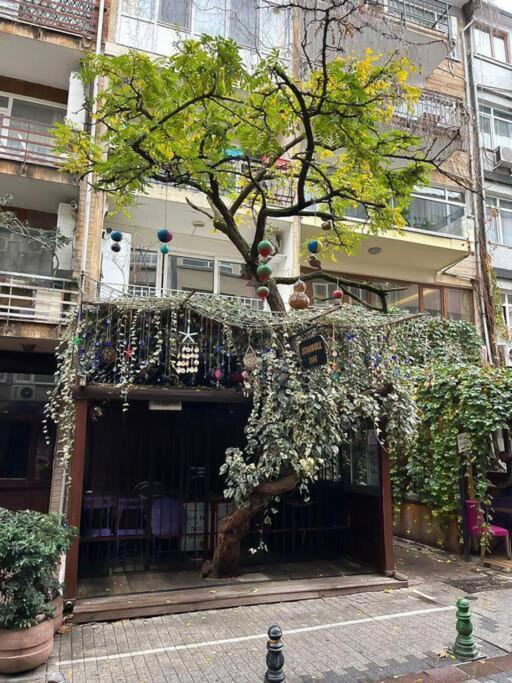 Daire House In The Center Of Kadikoy